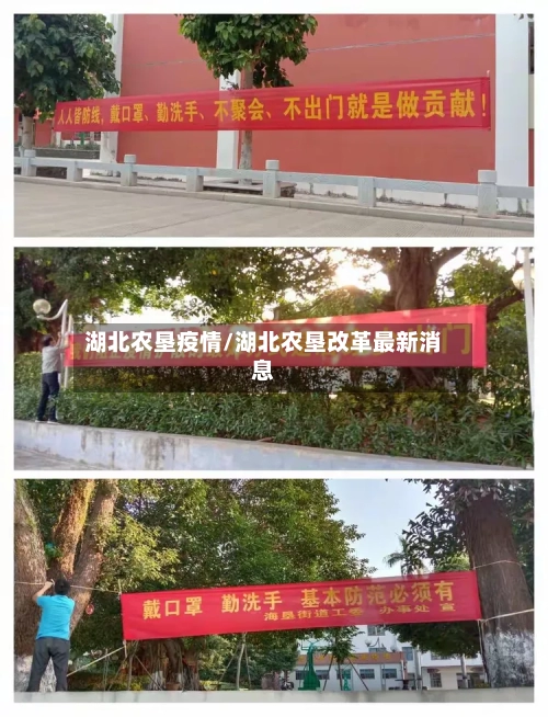 湖北农垦疫情/湖北农垦改革最新消息-第2张图片