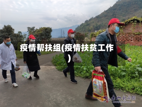 疫情帮扶组(疫情扶贫工作)