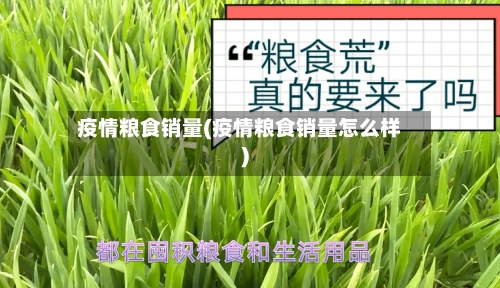 疫情粮食销量(疫情粮食销量怎么样)