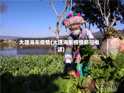 大理海东疫情(大理海东疫情防控电话)