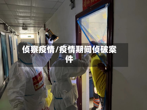 侦察疫情/疫情期间侦破案件