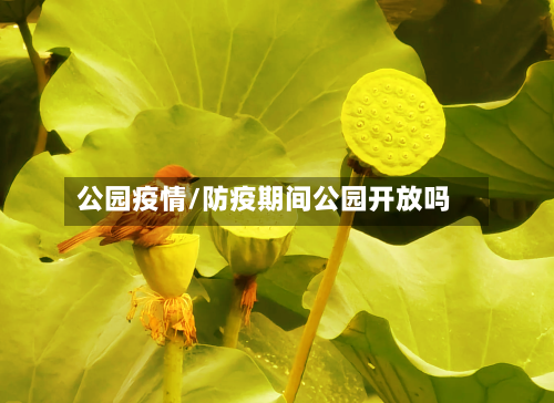 公园疫情/防疫期间公园开放吗-第3张图片