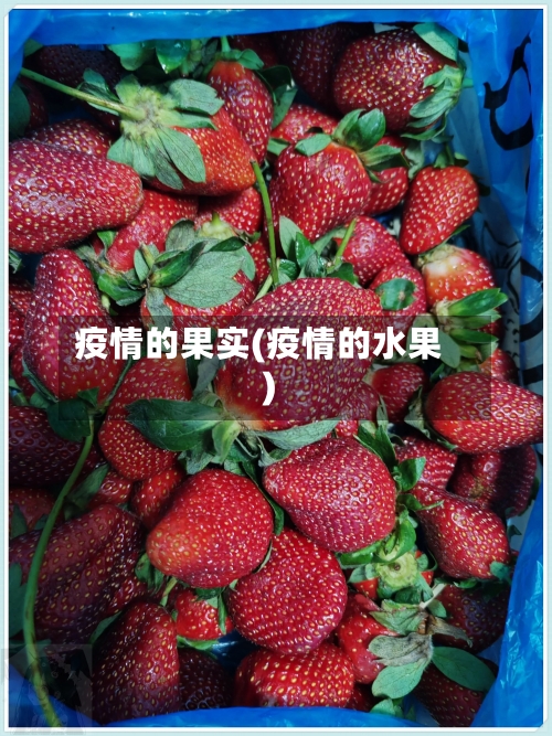 疫情的果实(疫情的水果)-第3张图片