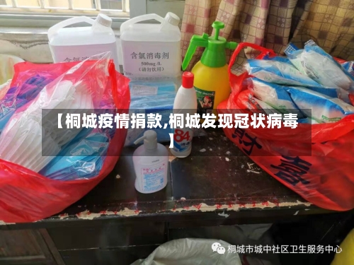 【桐城疫情捐款,桐城发现冠状病毒】