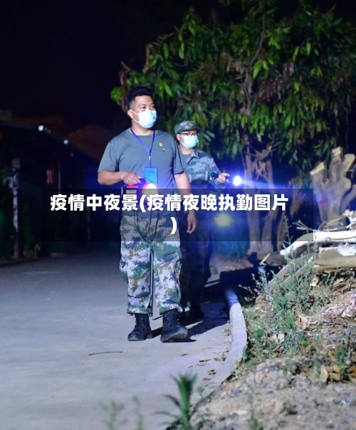 疫情中夜景(疫情夜晚执勤图片)-第2张图片
