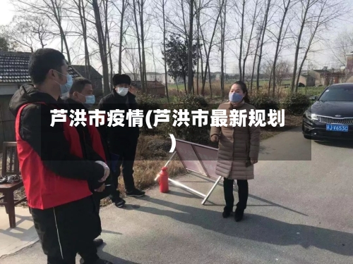 芦洪市疫情(芦洪市最新规划)