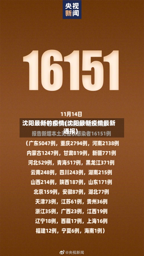 沈阳最新的疫情(沈阳最新疫情最新通报)