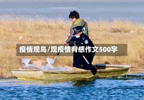 疫情观鸟/观疫情有感作文500字-第2张图片