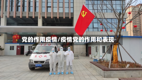 党的作用疫情/疫情党的作用和表现