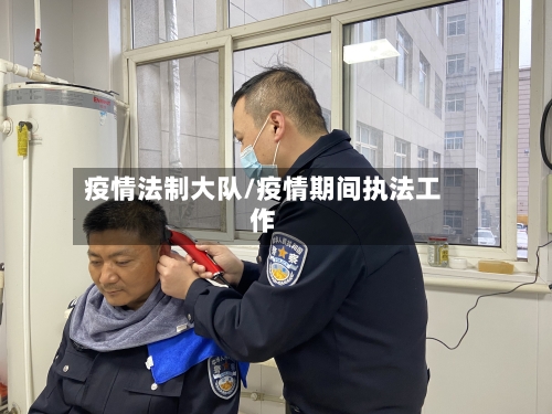疫情法制大队/疫情期间执法工作