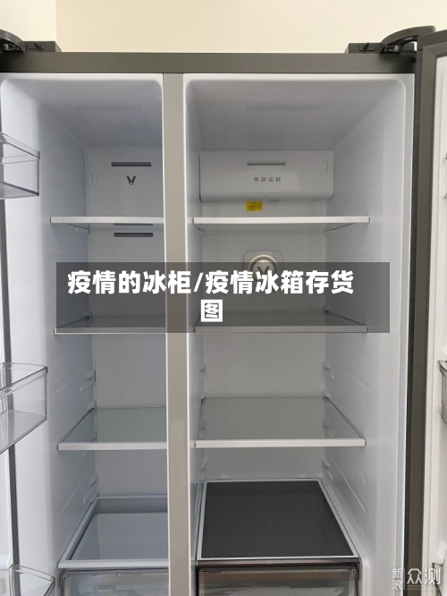 疫情的冰柜/疫情冰箱存货图