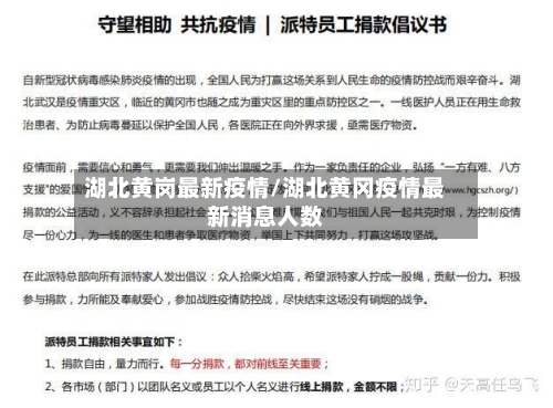 湖北黄岗最新疫情/湖北黄冈疫情最新消息人数-第2张图片