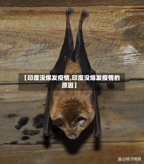 【印度没爆发疫情,印度没爆发疫情的原因】