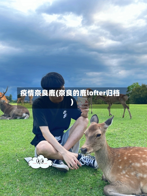疫情奈良鹿(奈良的鹿lofter归档)
