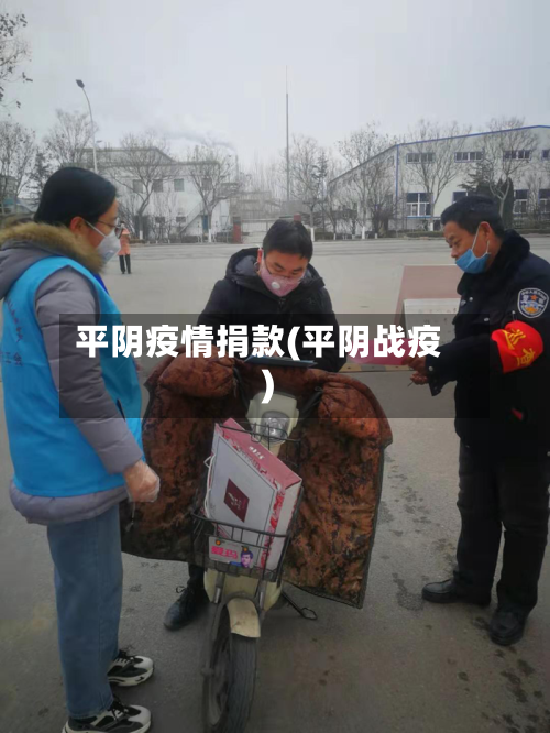 平阴疫情捐款(平阴战疫)-第3张图片