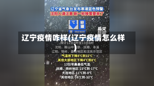 辽宁疫情咋样(辽宁疫情怎么样)-第2张图片