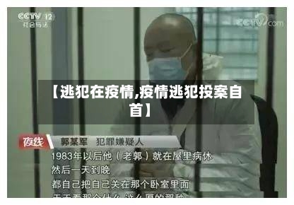 【逃犯在疫情,疫情逃犯投案自首】-第2张图片