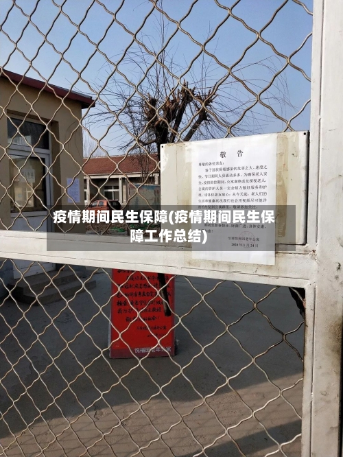 疫情期间民生保障(疫情期间民生保障工作总结)