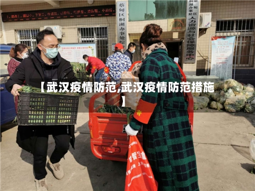 【武汉疫情防范,武汉疫情防范措施】
