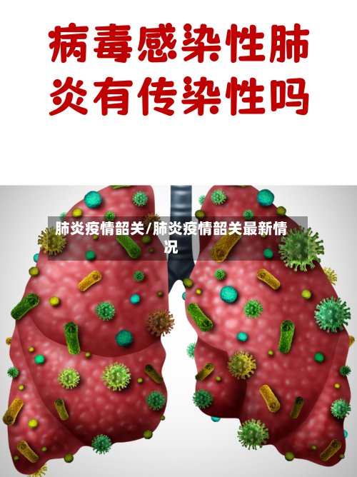 肺炎疫情韶关/肺炎疫情韶关最新情况-第2张图片