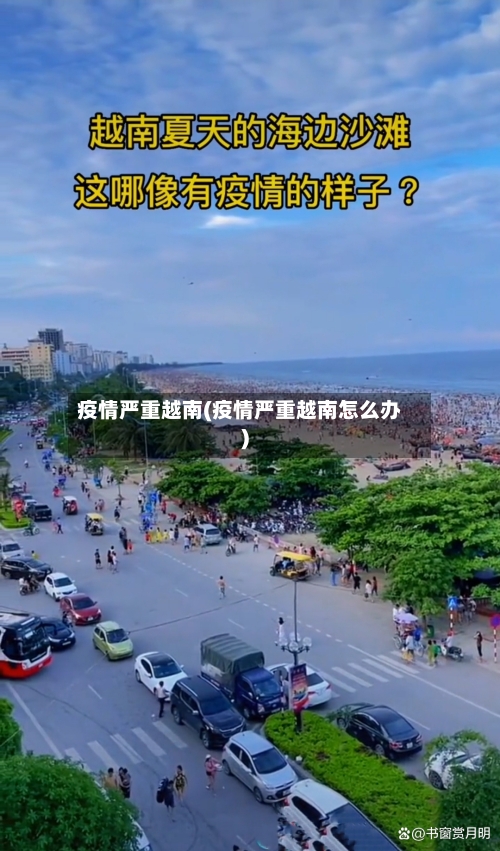 疫情严重越南(疫情严重越南怎么办)