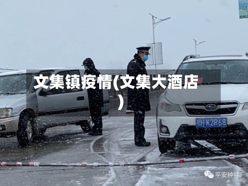 文集镇疫情(文集大酒店)-第2张图片