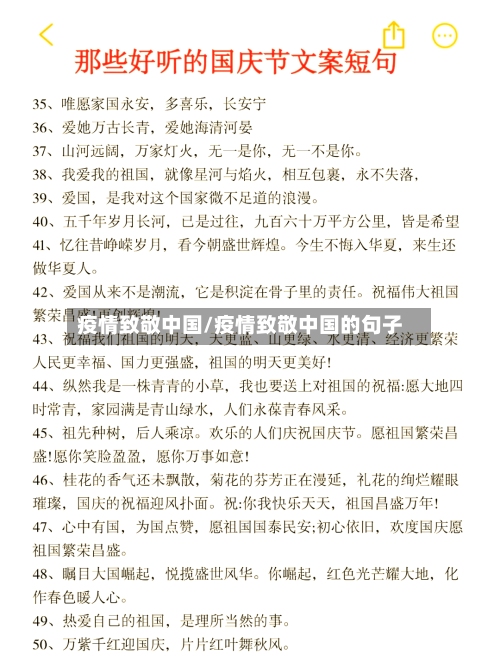 疫情致敬中国/疫情致敬中国的句子