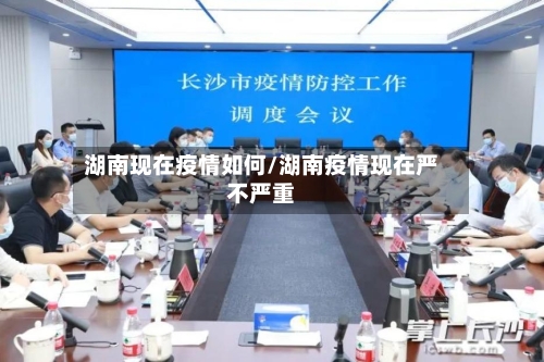 湖南现在疫情如何/湖南疫情现在严不严重-第3张图片