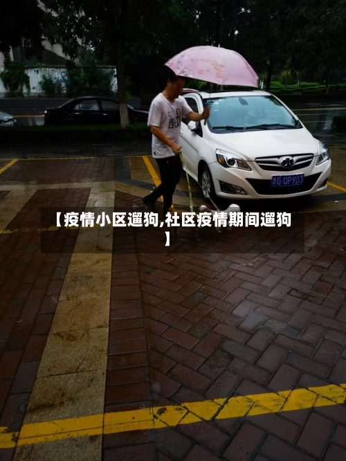 【疫情小区遛狗,社区疫情期间遛狗】-第3张图片