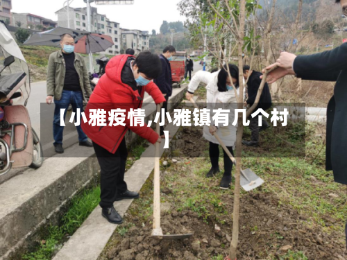 【小雅疫情,小雅镇有几个村】