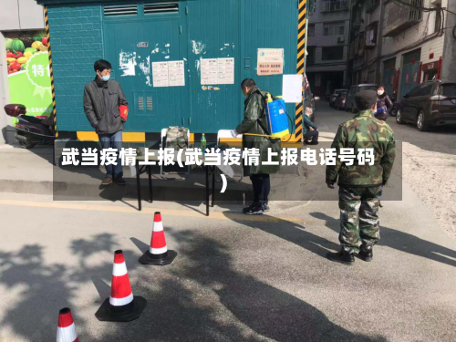 武当疫情上报(武当疫情上报电话号码)-第2张图片