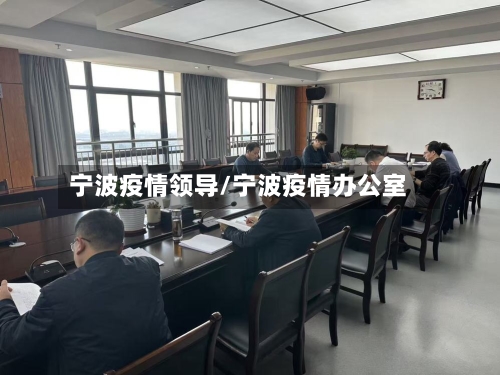 宁波疫情领导/宁波疫情办公室