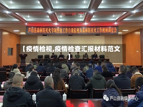【疫情检视,疫情检查汇报材料范文】