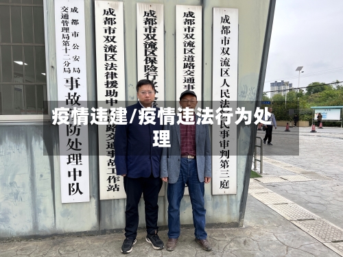 疫情违建/疫情违法行为处理