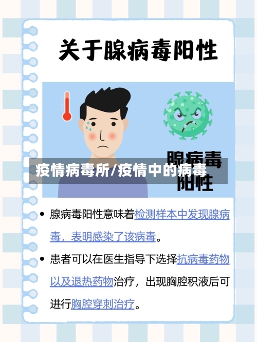 疫情病毒所/疫情中的病毒