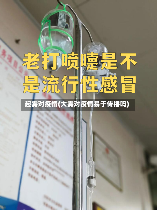 起雾对疫情(大雾对疫情易于传播吗)