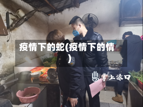 疫情下的蛇(疫情下的情)-第2张图片