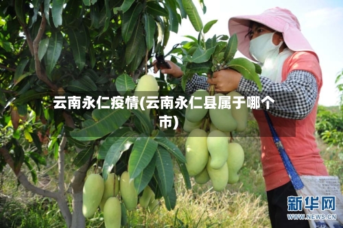 云南永仁疫情(云南永仁县属于哪个市)-第3张图片