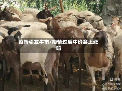 疫情引发牛市/疫情过后牛价会上涨吗-第2张图片