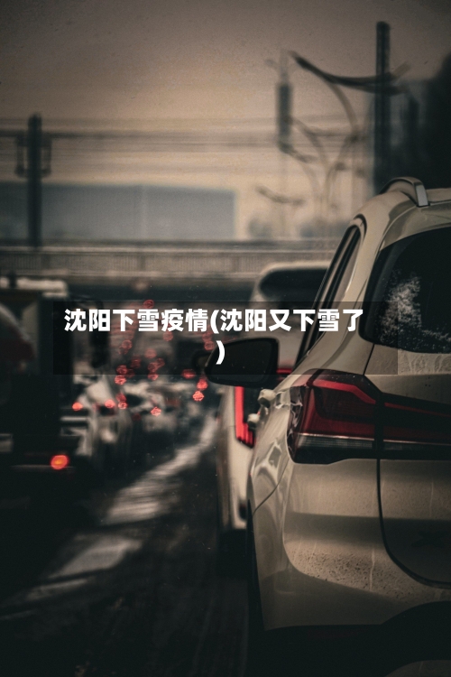 沈阳下雪疫情(沈阳又下雪了)-第3张图片