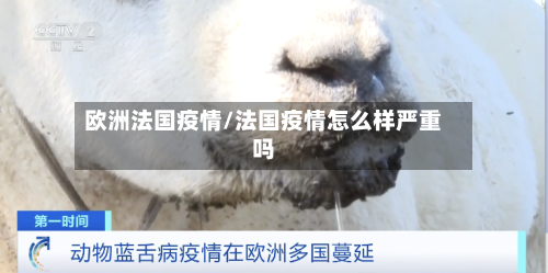 欧洲法国疫情/法国疫情怎么样严重吗-第2张图片