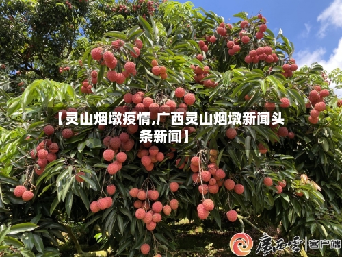 【灵山烟墩疫情,广西灵山烟墩新闻头条新闻】-第3张图片