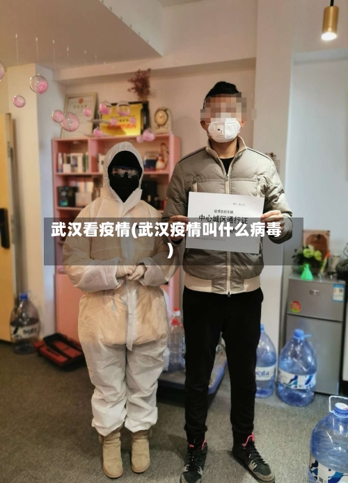 武汉看疫情(武汉疫情叫什么病毒)