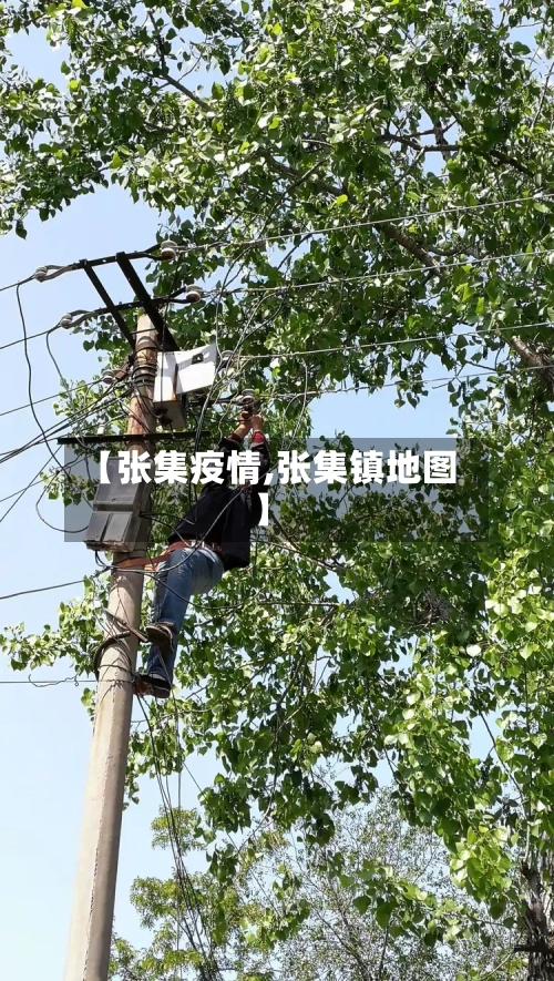 【张集疫情,张集镇地图】-第2张图片