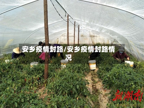 安乡疫情封路/安乡疫情封路情况-第2张图片
