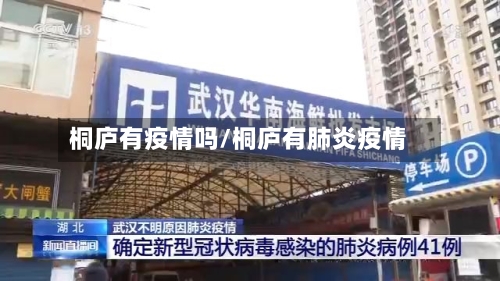 桐庐有疫情吗/桐庐有肺炎疫情