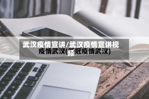 武汉疫情宣讲/武汉疫情宣讲视频-第2张图片