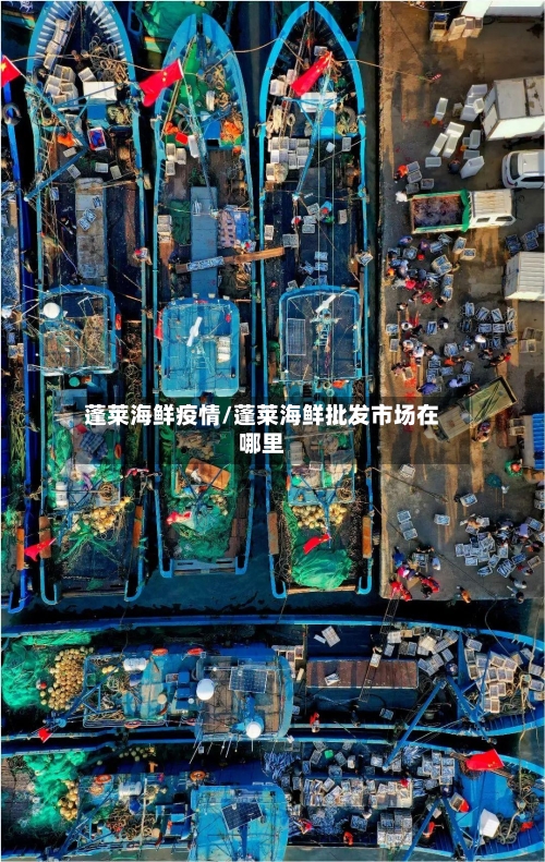 蓬莱海鲜疫情/蓬莱海鲜批发市场在哪里-第3张图片