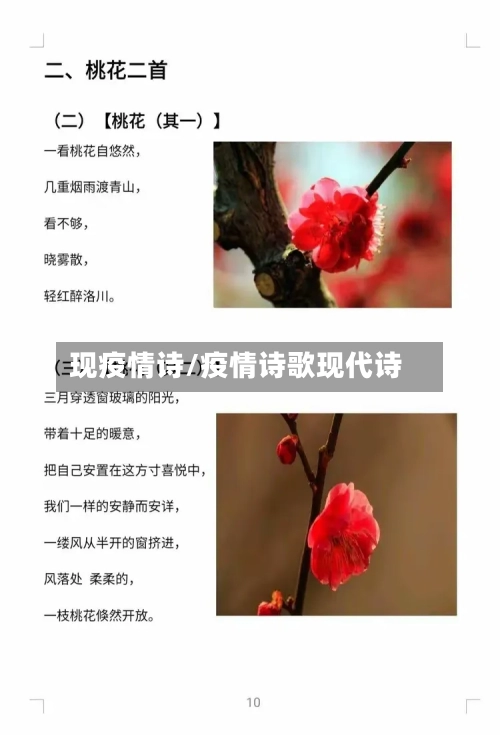 现疫情诗/疫情诗歌现代诗