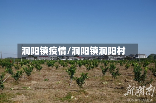 洞阳镇疫情/洞阳镇洞阳村
